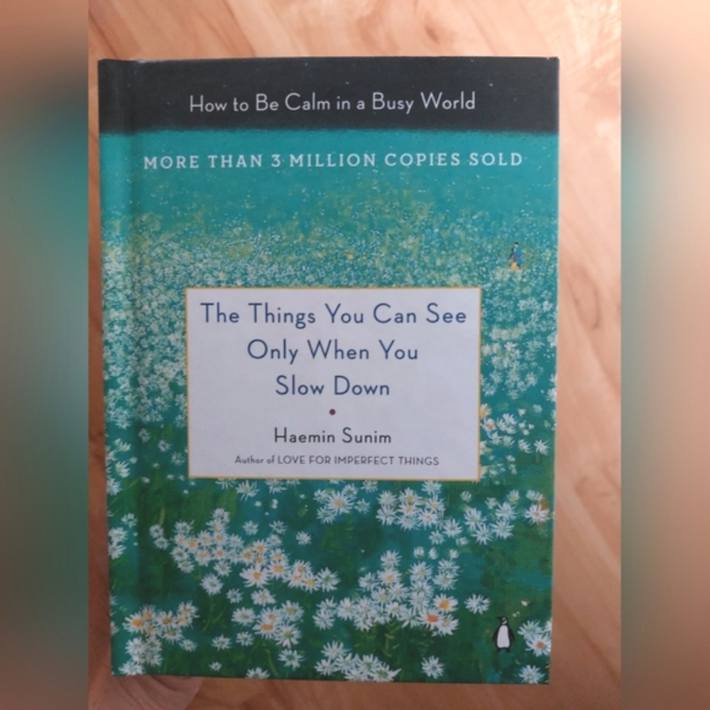 The Things You Can See Only When You Slow Down: How To Be Calm In A Busy World